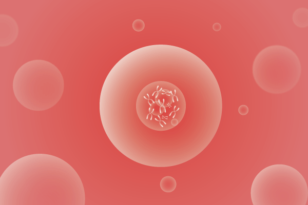 CNV,拷贝数变化遗传病、基因病、罕见病基因解码，基因检测，基因筛查与分子诊断
