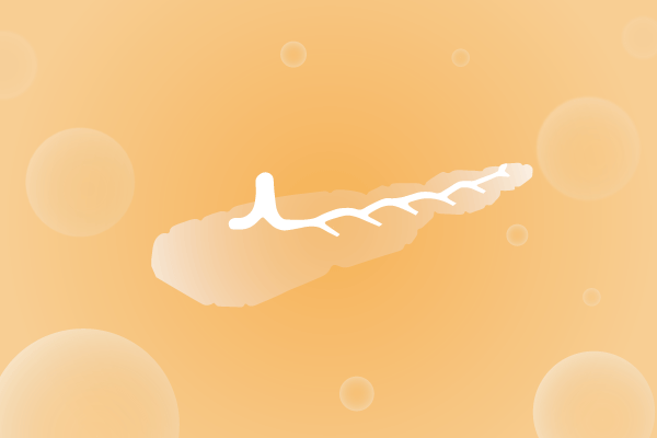 内分泌系统，腺体，胰腺遗传病、基因病、罕见病基因解码，基因检测，基因筛查与分子诊断