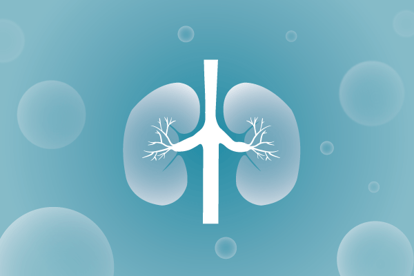 泌尿系统，肾脏，膀胱，尿病，肾不好遗传病、基因病、罕见病的基因解码，基因检测，基因筛查与分子诊断