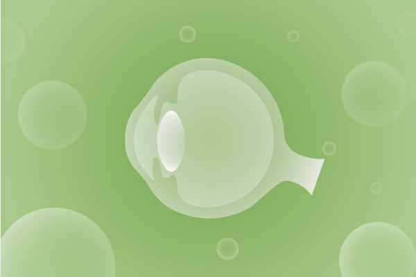 眼科，视光中心，眼科诊所，眼睛相关遗传病、基因病、罕见病的基因解码，基因检测，基因筛查与分子诊断