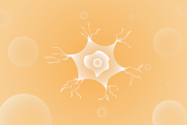 神经科肌肉系统及运动神经系统遗传病、基因病、罕见病的基因解码，基因检测，基因筛查与分子诊断