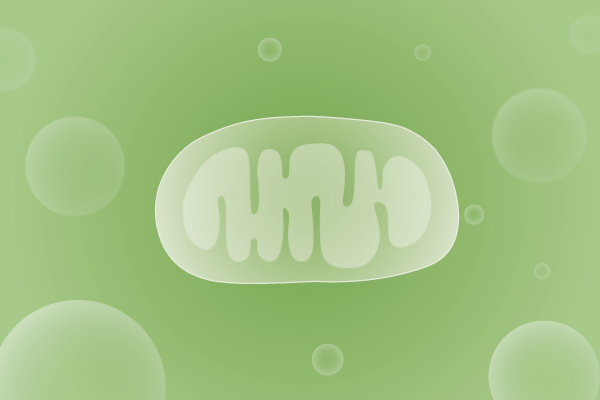 线粒体病、线粒体疾病遗传病、基因病、罕见病基因解码，基因检测，基因筛查与分子诊断