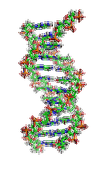 【MG冰球突破官网基因检测】眼皮肤白化病4型基因解码、<a href=http://www.fuerquan.com/tk/jiema/cexujishu/2021/31933.html>基因检测</a>的报告有人解读吗？