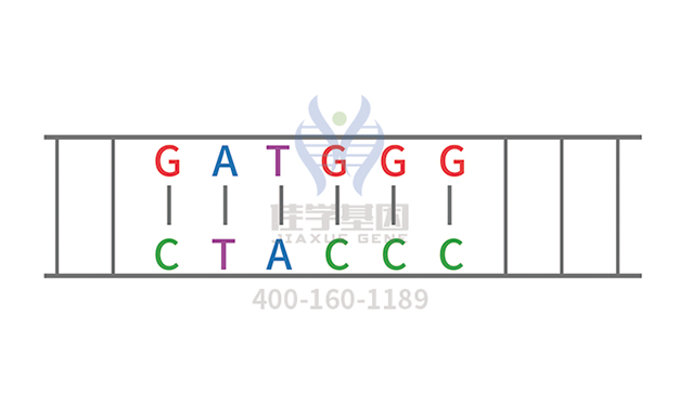 阿洛那药物<a href=http://www.fuerquan.com/tk/jiema/cexujishu/2021/31933.html>基因检测</a>