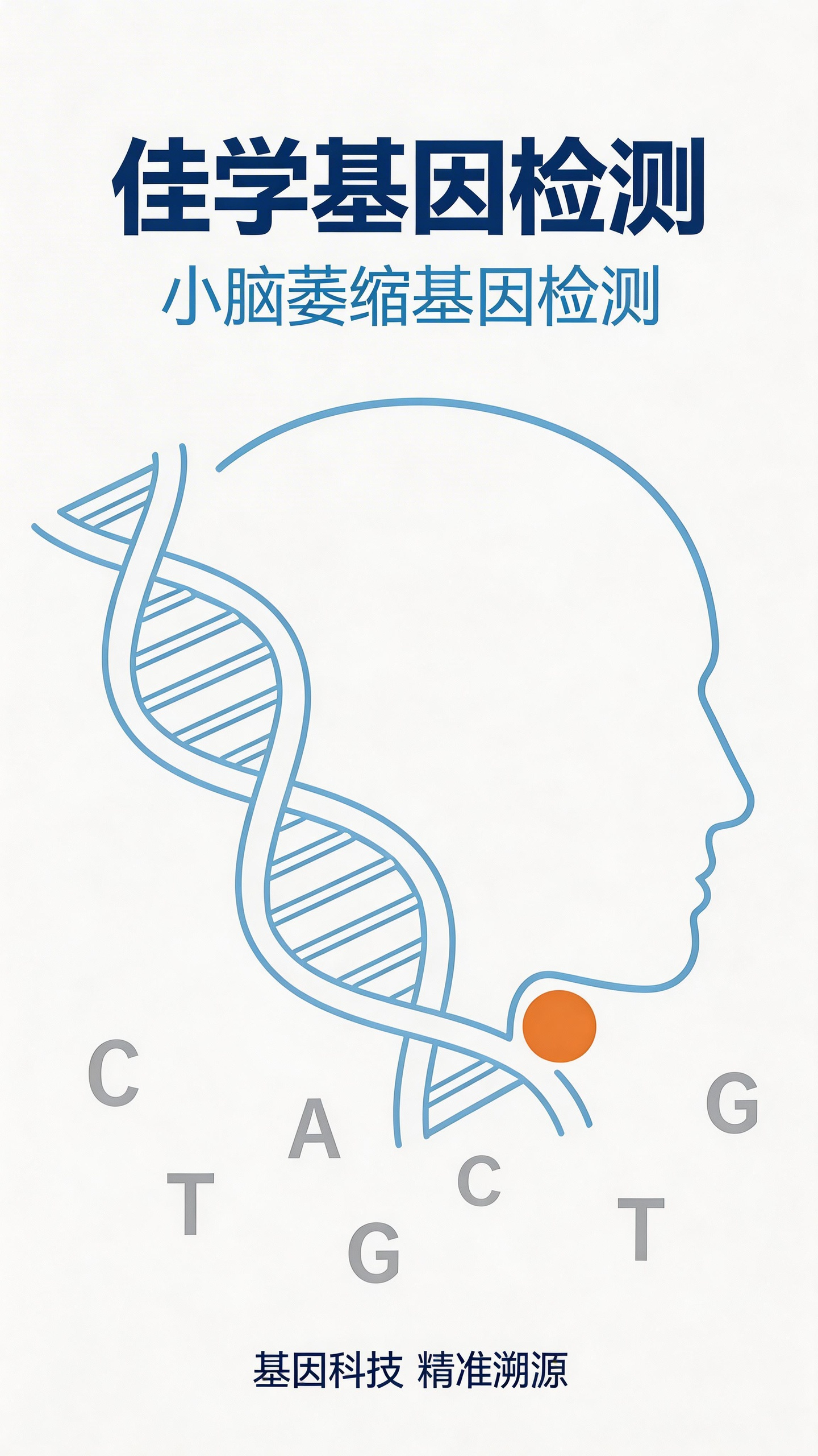 【MG冰球突破官网基因检测】一文讲清<font color='red'>小脑</font>萎缩共济失调基于基因检测的靶向治疗