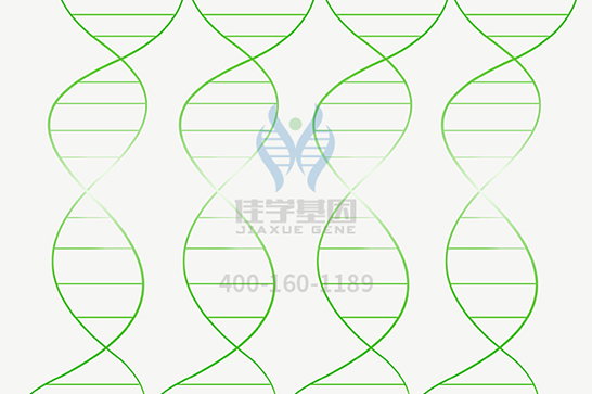 【MG冰球突破官网基因检测】脊髓延髓肌萎缩症基因解码、基因检测